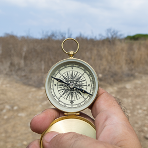 Compass leadership